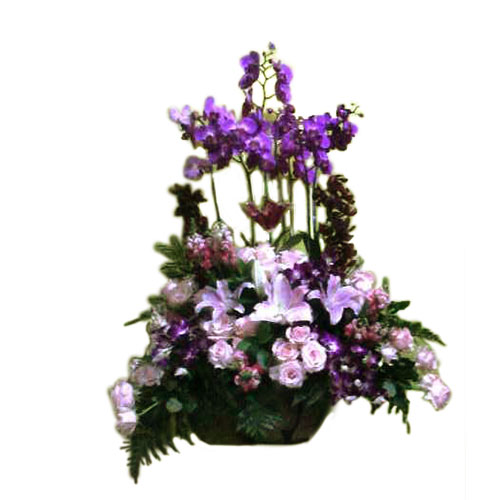 Rangkaian Vas Bunga Murah Harga 2 Juta-2650