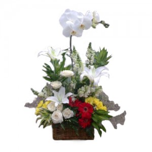 buket-bunga-murah-hand-bouquet-780
