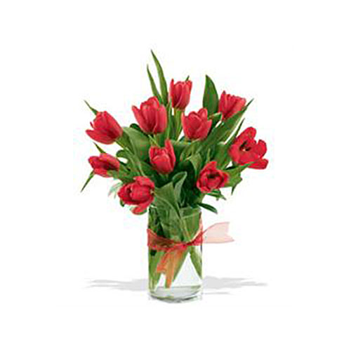 bunga tulip 5503