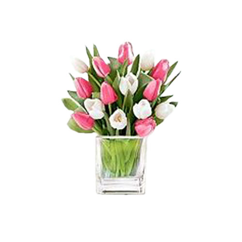 bunga tulip 8502