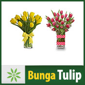 bunga tulip link page