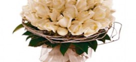 hand bouquet pengantin warna krim