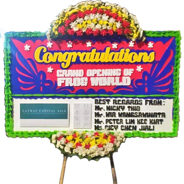 bunga papan murah jakarta congratulations grand opening frog world cathay capital harga 500 ribu
